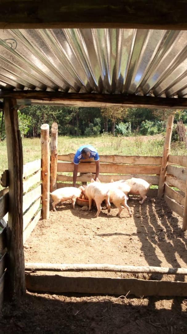 הוילה Rubuguli Karungi Camp מראה חיצוני תמונה